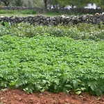 Retiro Da Avo Lidia -