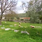Retiro Da Avo Lidia - Mendiga