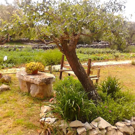 Retiro Da Avo Lídia -
