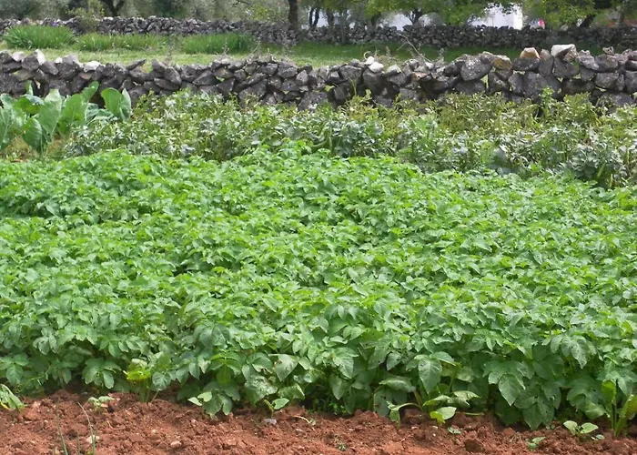 Retiro Da Avo Lidia -