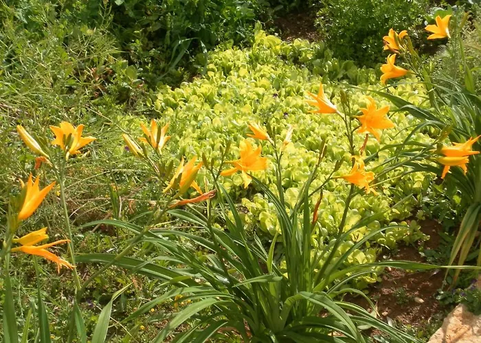 Casa di campagna Retiro Da Avo Lidia -