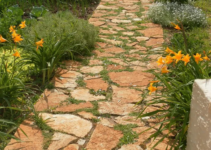 Retiro Da Avo Lidia - Mendiga