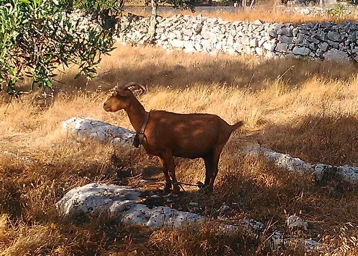 Casa di campagna Retiro Da Avo Lidia -