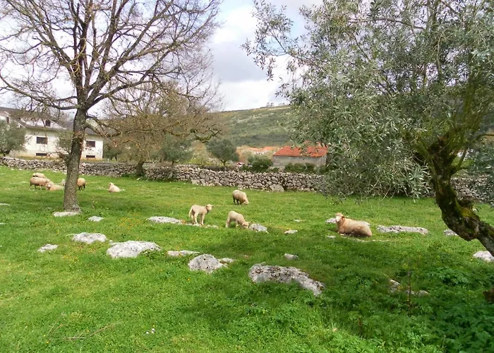 Retiro Da Avo Lidia - Mendiga